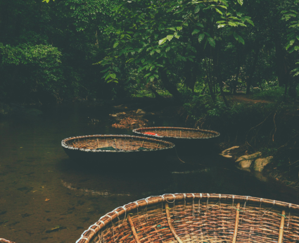 Kerala Holiday Package