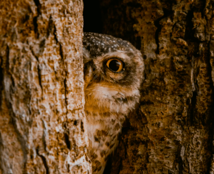 7N/8D Kerala Trip with Holiday360 – Explore nature, culture, adventure, and serenity in one unforgettable holiday.