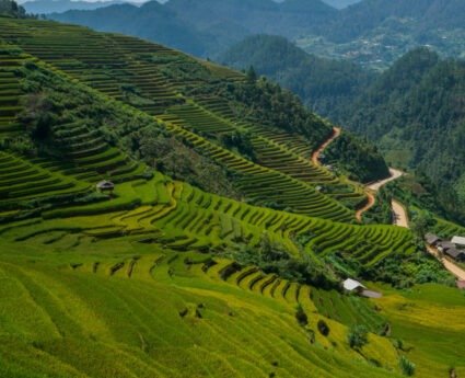 South India Hill Tour