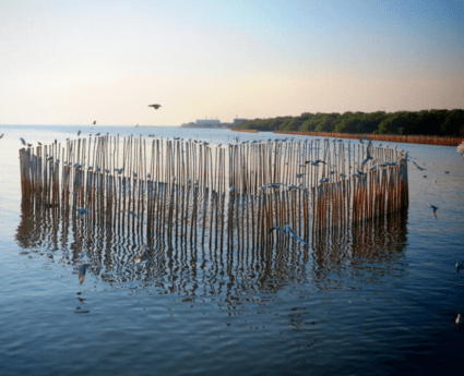 Chilika – Gopalpur tour package - Odisha for 3N/4D