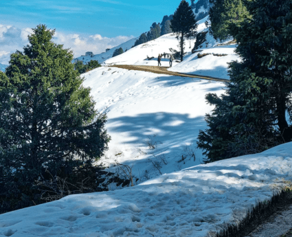 Himachal Manali Tour - Himachal travel destinations