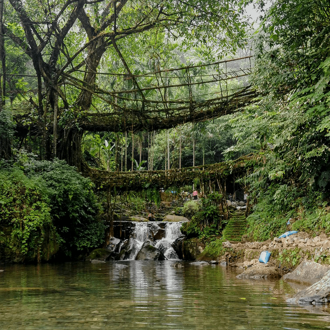 Living-root-bridge-meghalaya Top 10 Underrated Destinations in India You Must Visit