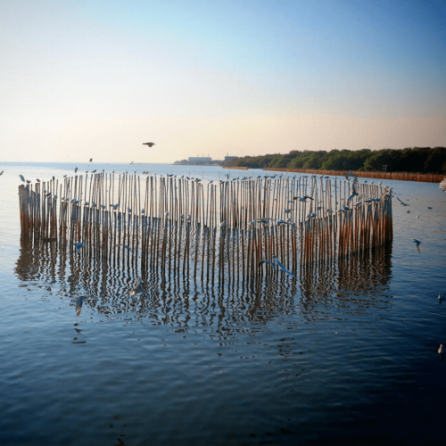 Chilika – Gopalpur tour package - Odisha for 3N/4D